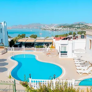 book here